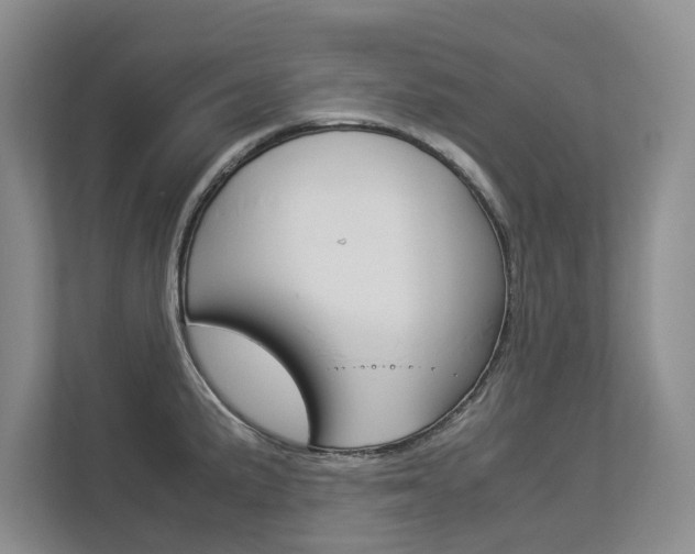 X0000112831191200908210932