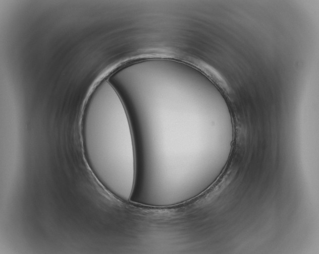 X0000112831192200908210932