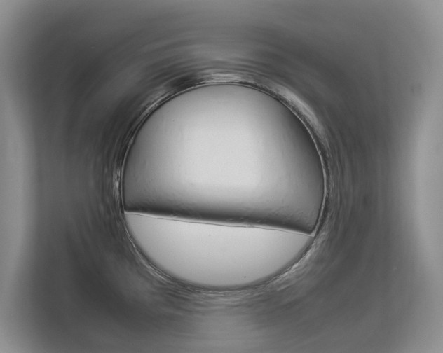 X0000112831193200908210932