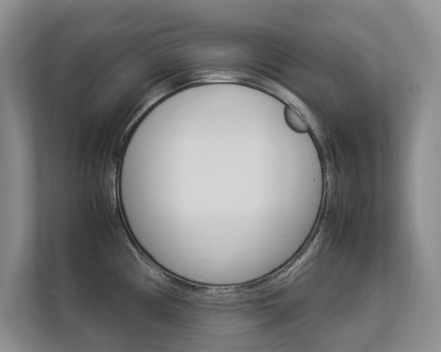 X0000112831194200908210932