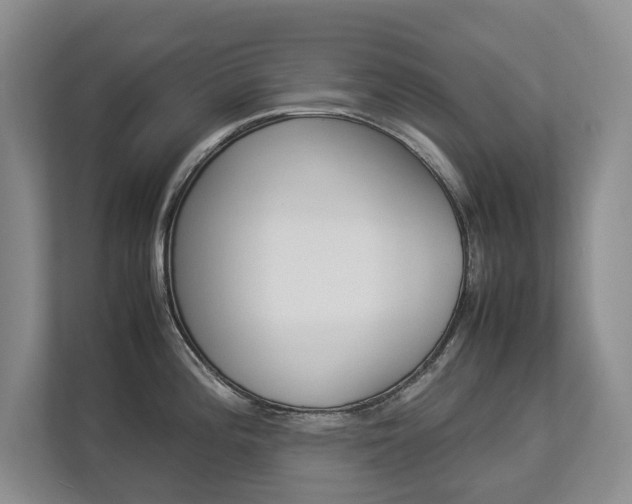 X0000112831196200908210932