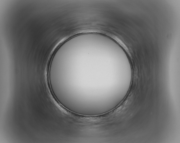 X0000112831197200908210932