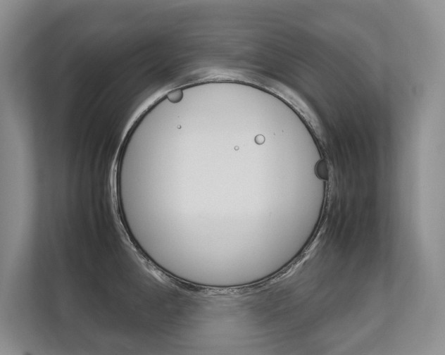 X0000112831198200908210932