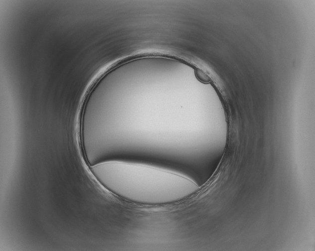 X0000112831199200908210932