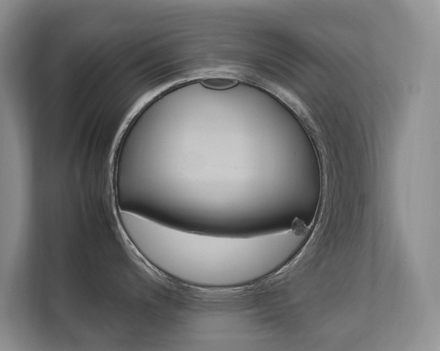 X0000112831200200908210932