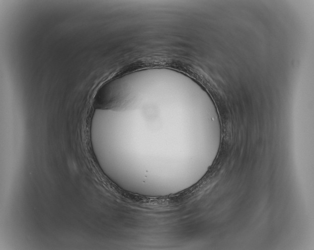X0000112831201200908210932