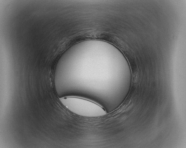 X0000112831202200908210932
