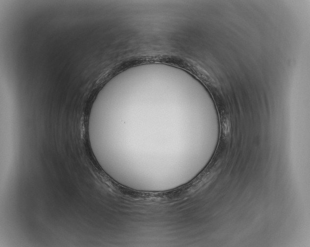 X0000112831204200908210932