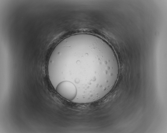 X0000112831205200908210932