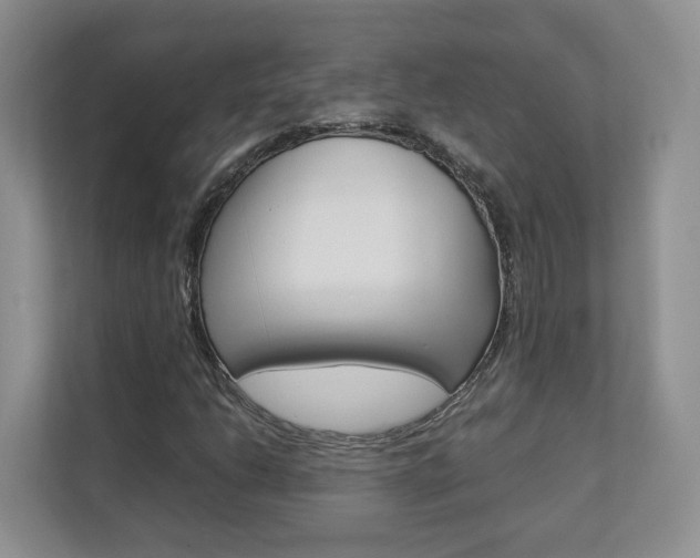 X0000112831206200908210932
