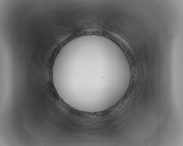 X0000112831207200908210932