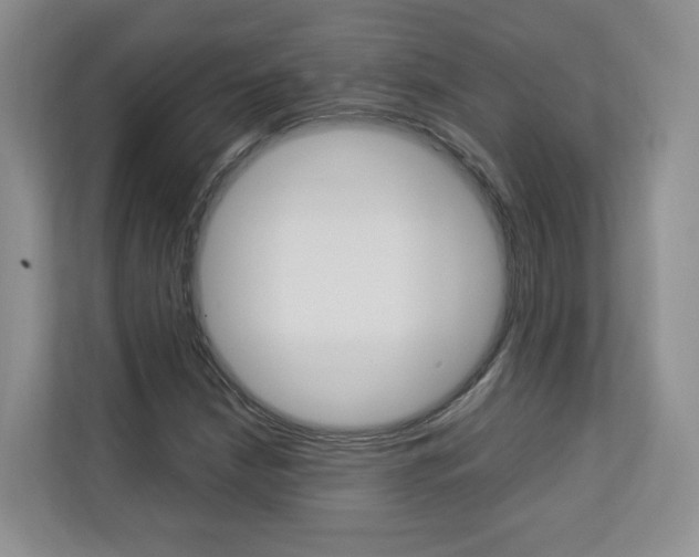 X0000112831210200908210932