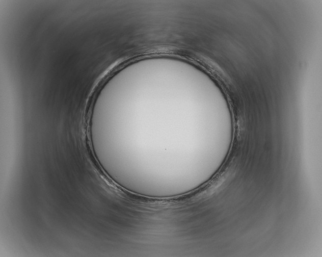 X0000112831212200908210932