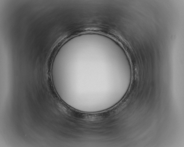 X0000112831213200908210932