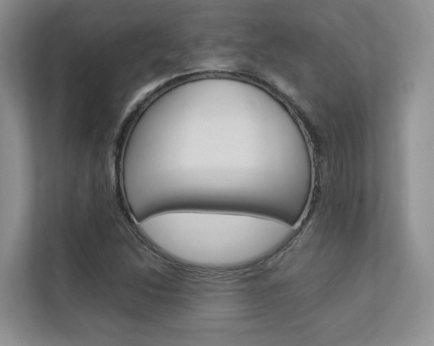 X0000112831214200908210932