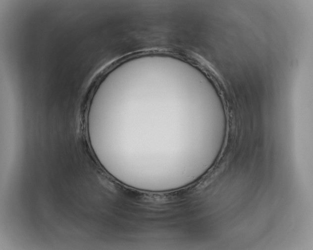 X0000112831215200908210932