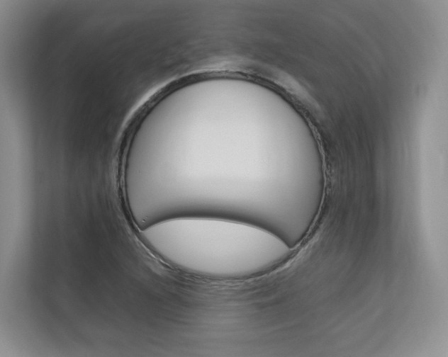 X0000112831216200908210932