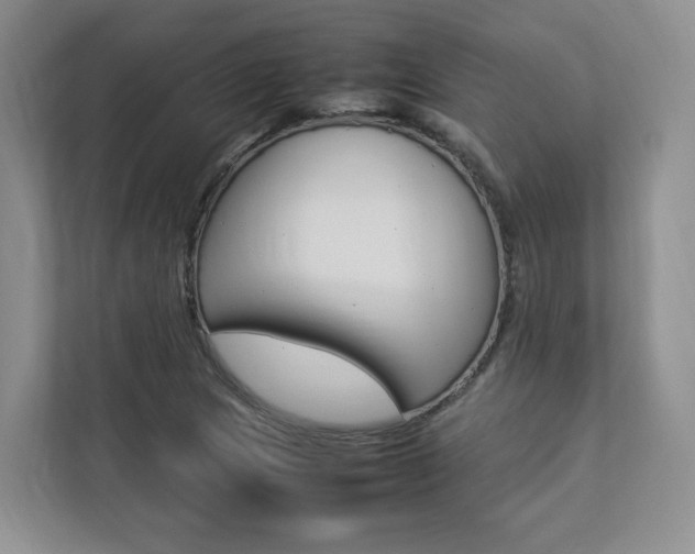 X0000112831217200908210932