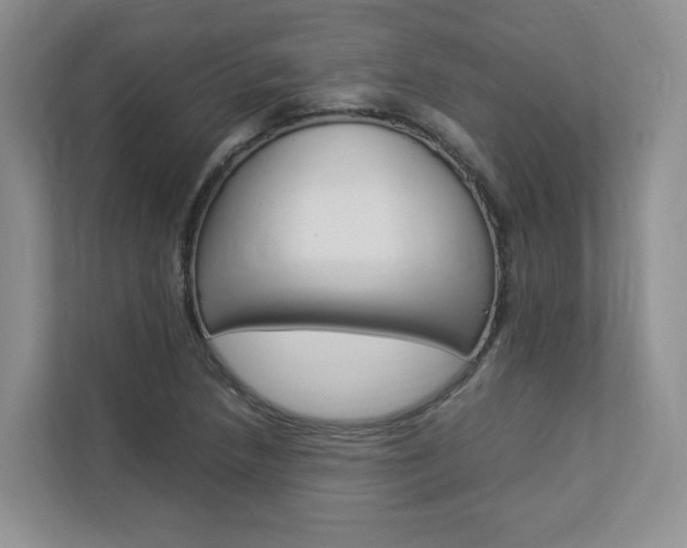 X0000112831218200908210932