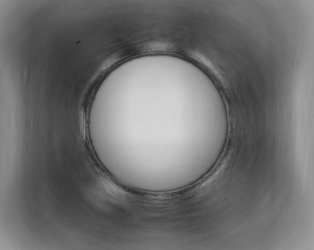 X0000112831219200908210932