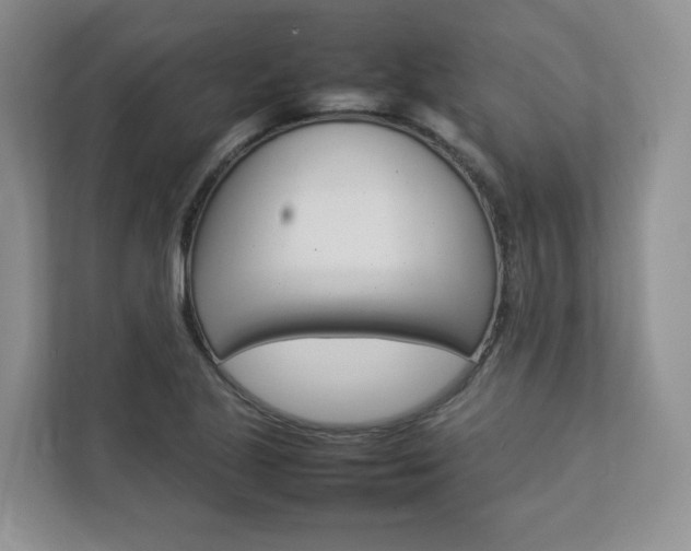X0000112831221200908210932