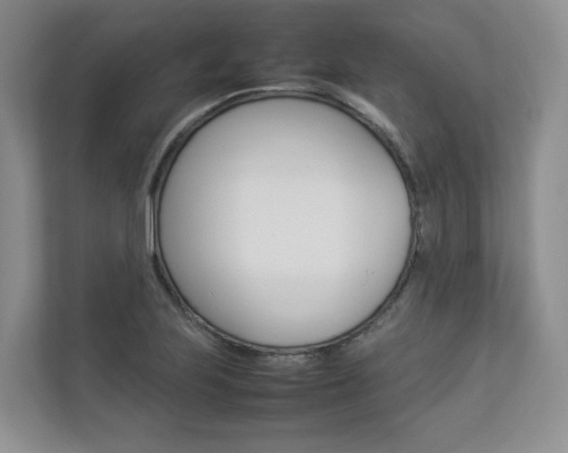 X0000112831223200908210932