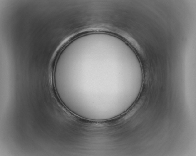 X0000112831224200908210932