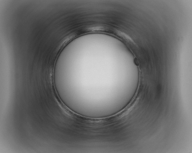 X0000112831225200908210932