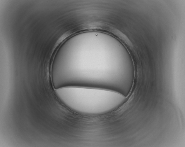 X0000112831226200908210932