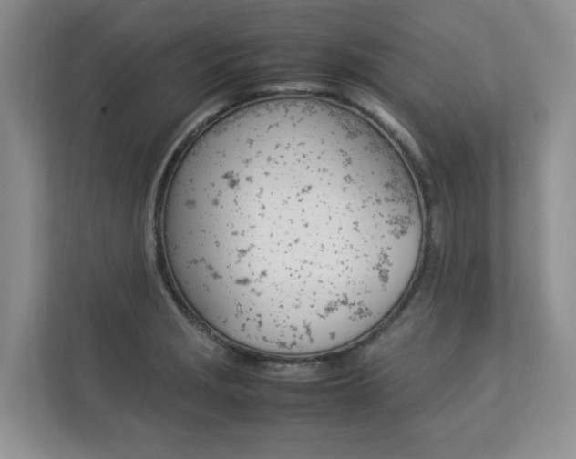 X0000112831229200908210932