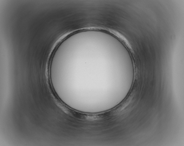 X0000112831231200908210932