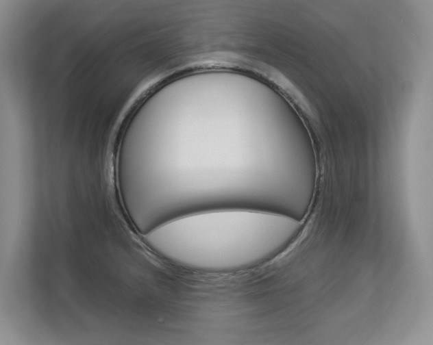 X0000112831232200908210932