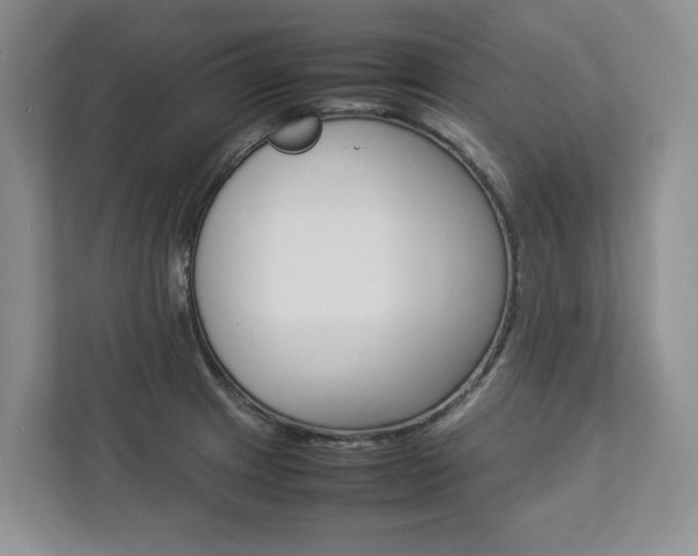 X0000112831233200908210932