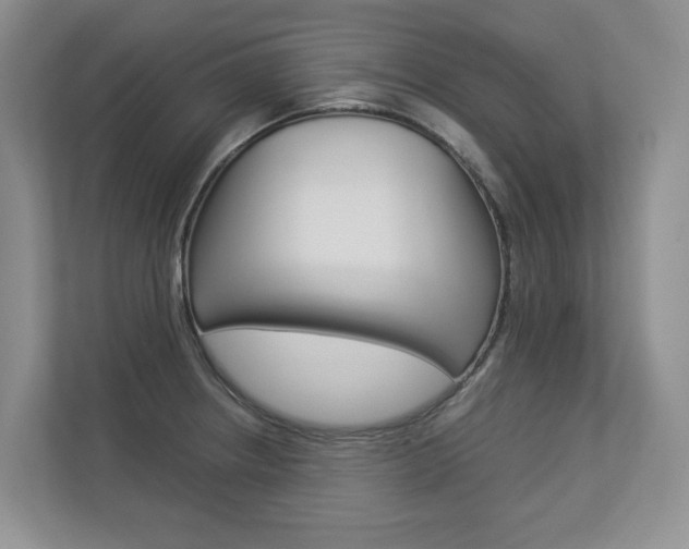 X0000112831234200908210932