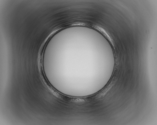 X0000112831235200908210932
