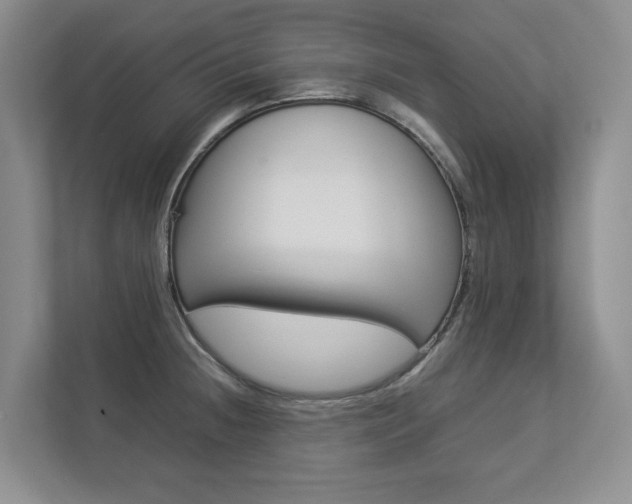 X0000112831236200908210932