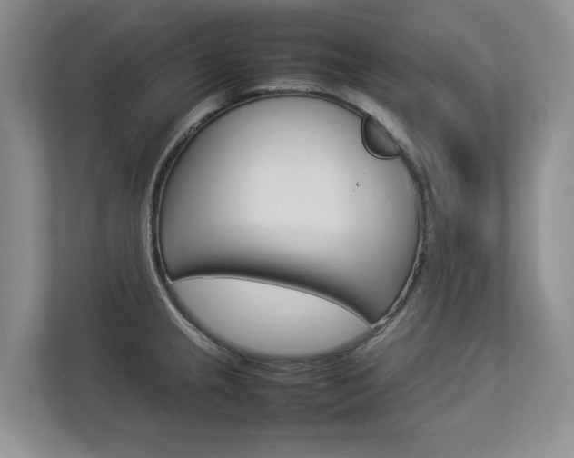 X0000112831237200908210932