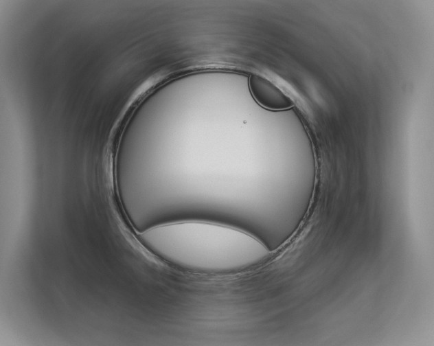 X0000112831238200908210932