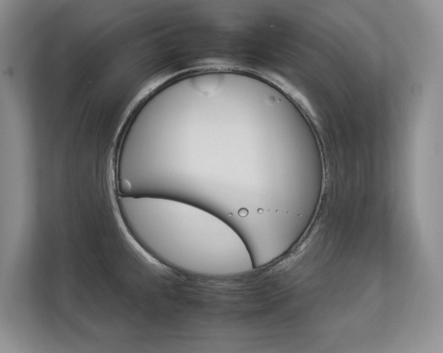 X0000112831239200908210932