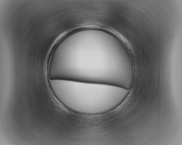 X0000112831240200908210932
