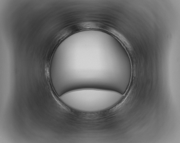X0000112831241200908210932