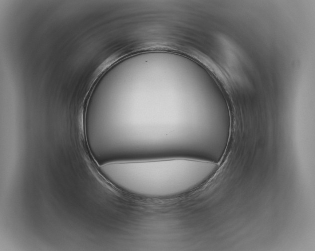 X0000112831242200908210932