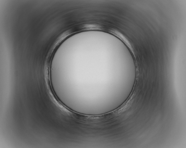 X0000112831243200908210932