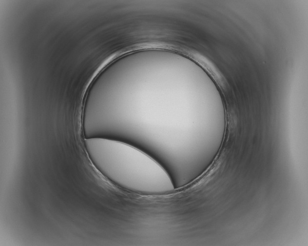 X0000112831244200908210932
