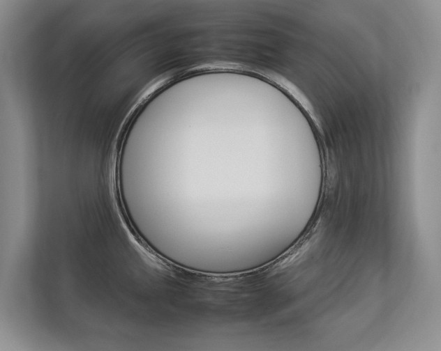 X0000112831245200908210932