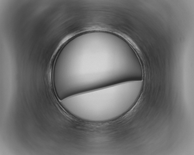 X0000112831246200908210932