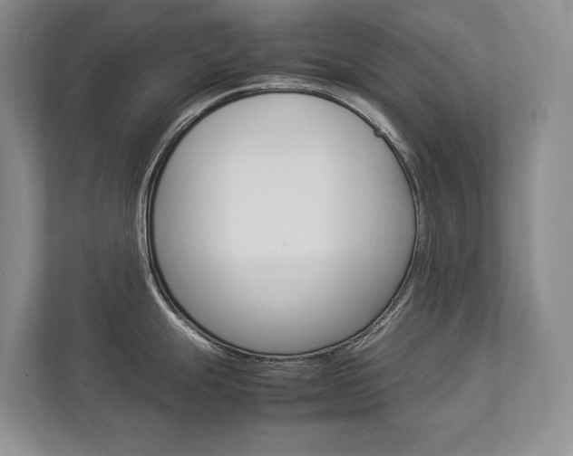 X0000112831247200908210932