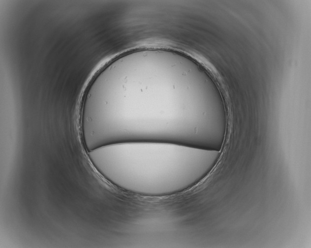 X0000112831248200908210932