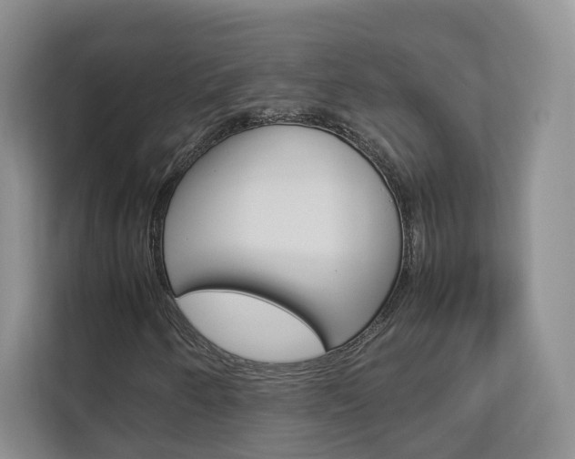 X0000112831250200908210932