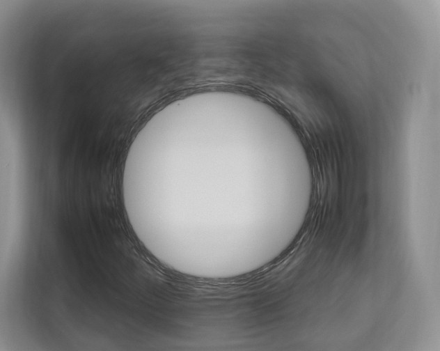 X0000112831252200908210932